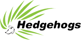 Hedgehogs Childcare