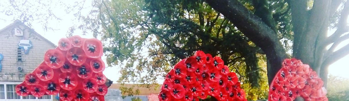 Remembrance Display – 2018